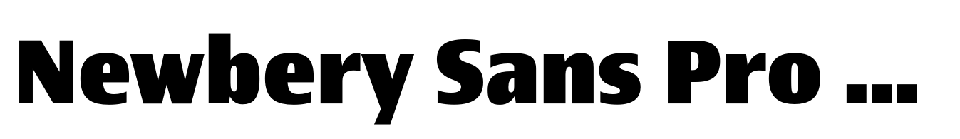 Newbery Sans Pro Extra Bold